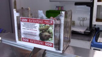 В Бузулуке украли урну для пожертвований